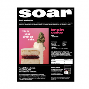Soar - Brain Cake digital info sheet